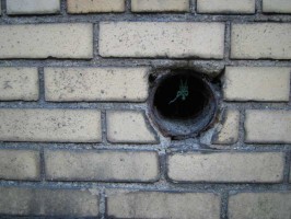 9l_fort_drain