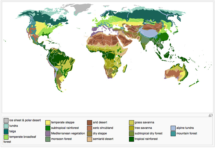 WorldBiomeMap